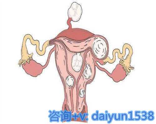 国内供卵代怀公司,单身男士海外试管宝宝回北京落户全攻略